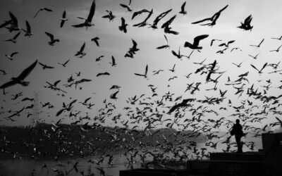 La disperazione delle madri dei migranti