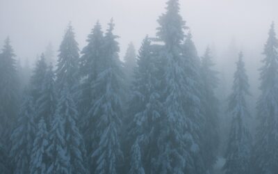 Silenzio che avvolge tutte le cose