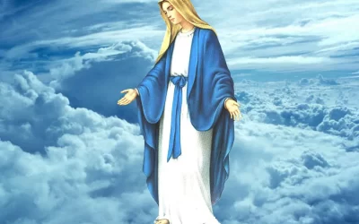 Esercitazioni finali ed Esempi – Quinta Parte