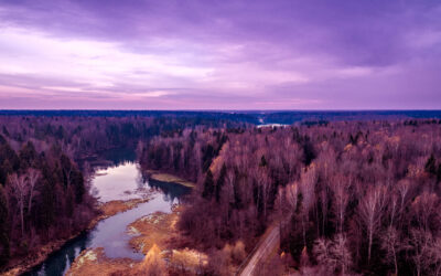 Strumenti per la Consegna: 16 – Amplificazione Sonora e microfoni