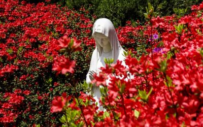 Mese di Maggio Mese di Maria