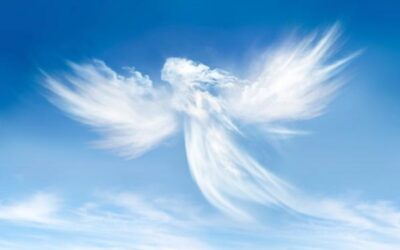 Strumenti per la Consegna: 2 – Come funziona la voce? – Seconda Parte